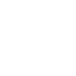 Icon-phone-white