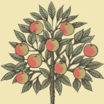 Profilbild von Initiative "Mein Erbe tut Gutes. Das Prinzip Apfelbaum"